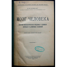 Блуменау Л.В., проф. Мозг человека.