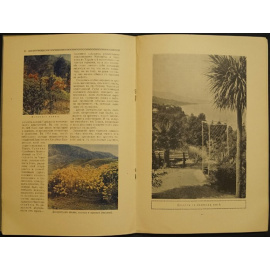 Краснов А. Н. Южная Колхида.