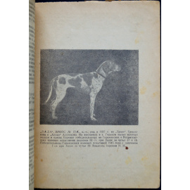 Каталог 24-й Областной выставки охотничьих собак.