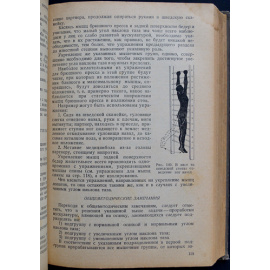 Гимнастика.