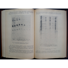 Денщиков М. Т. Непрерывное брожение в пивоварении.