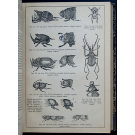 Дарвин Ч. Сочинения Чарльза Дарвина. Том II: Происхождение человека и половой подбор. Перевод проф. И. Сеченова.  О выражении ощущений у чел