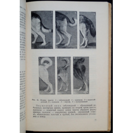 Мазовер А.П. Племенное дело в служебном собаководстве.