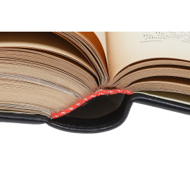 Сахалин (Каторга). В 2 частях (в одной книге)