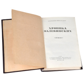 Хроника Малевинских