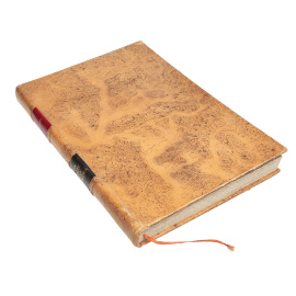 El ingenioso hidalgo Don Quijote de la Mancha книга