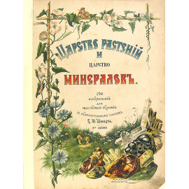 Царство растений и царство минералов