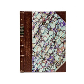 Карницкий И.И. Проект положений о приобретении права собственности на движимые вещи с объяснениями.