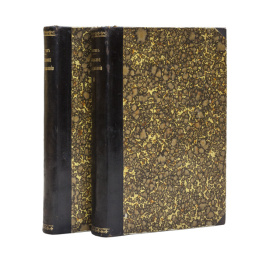 Дитятин И.И. Устройство и управление городов России в 2 томах