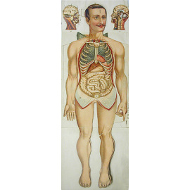 Новое естественное лечение. В двух томах