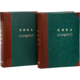 Журнал "Нива". Подшивка всех номеров за 1904 год (комплект из 2 книг)