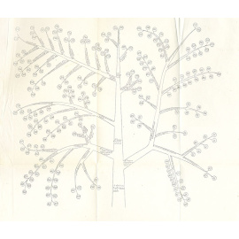 Подстрочный перевод 1-й части Тибетской Медицины "Зави-Джюд"