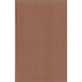 Господин Фицек