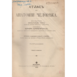 Атлас по анатомии человека. Часть 2