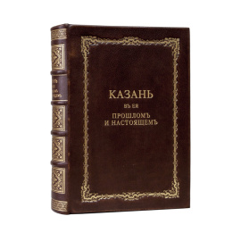 Пинегин М. Казань в ее прошлом и настоящем.