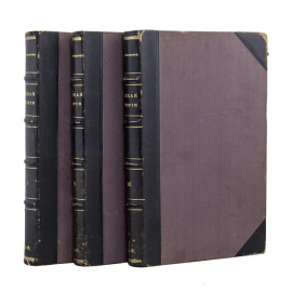 Костомаров Н.И. Русская история в жизнеописаниях ее главнейших деятелей. Полный комплект в 3-х томах