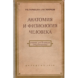 Анатомия и физиология человека