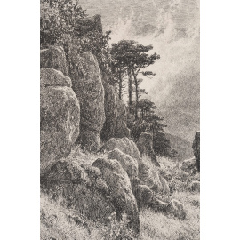 Крымский вид. И.И. Шишкин. Гравюра. Российская империя, 1882 год