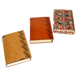 Бруски (комплект из 2 книг)