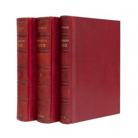 Случевский К.К. По Северу России. Путешествие их императорских высочеств великого князя Владимира Александровича и великой княгини Марии Павловны в 1884 и 1885 гг. В 3-х томах.