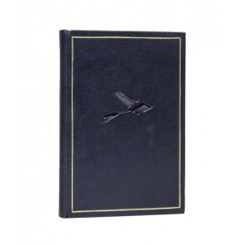 Л. Леласе и Р. Марк. Пер. Ю.Н. Лавриновича. Проблема воздухоплавания.