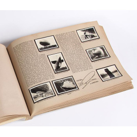 Путешествие на цеппелине. Книга-альбом