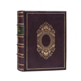 Спутник по Казани. Иллюстрированный указатель достопримечательностей и справочная книжка города