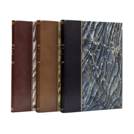 Верещагин В.А. Русская карикатура.