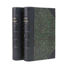 Менделеев Д.И. Основы химии. В 2-х томах