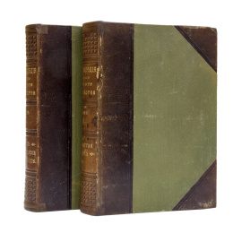 Рудзкий А.Ф. Энциклопедия русского лесного хозяйства в 2 томах