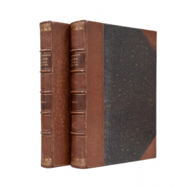 Новицкий А.П. История русского искусства с древнейших времен. В 2-х томах