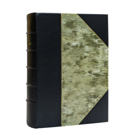 Брикнер А.Г. История Петра Великого 1882 года