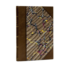 Бунт военных поселян в 1831 году. Рассказы и воспоминания очевидцев.