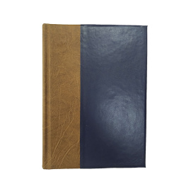 История России в XIX веке в 8 томах. Том 6