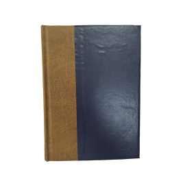 История России в XIX веке в 8 томах. Том 7