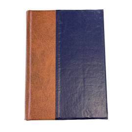 История России в XIX веке. Том 8