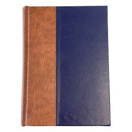 История России в XIX веке. Том 1