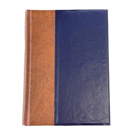 История России в XIX веке. Том 6