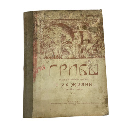 М. Новорусский. Грибное царство. Всем доступный рассказ о грибах и их жизни. С 35 рисунками