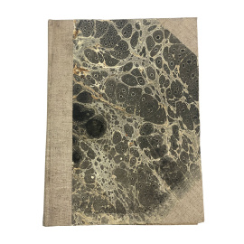 Шарль Бодлер. Маленькие поэмы в прозе. Перевод и вступительная статья поэзия Бодлера А. Александровича