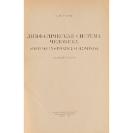 Лимфатическая система человека