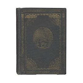 Русская сказка. Избранные мастера