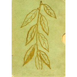 Новая жизнь