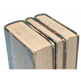 Vilmorin's illustrirte Blumengaertnerei (комплект из 3 книг)