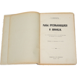 Рыбы, пресмыкающиеся и амфибии
