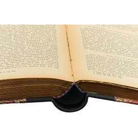 Шеллинг. Его жизнь, сочинения и учение