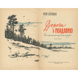 Дорога в Молдавию