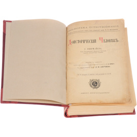 Доисторический человек