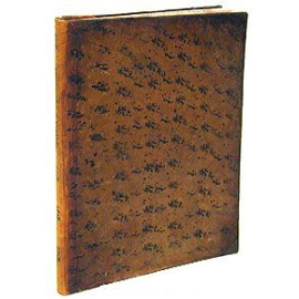 Правила о перспективе (Правила о подлинном свойстве теней)