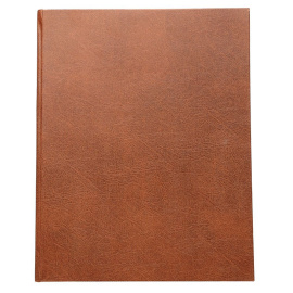 Газета П.Л. Лаврова "Вперед!". Подшивка: годовой комплект за 1875 год. Номера 1-24